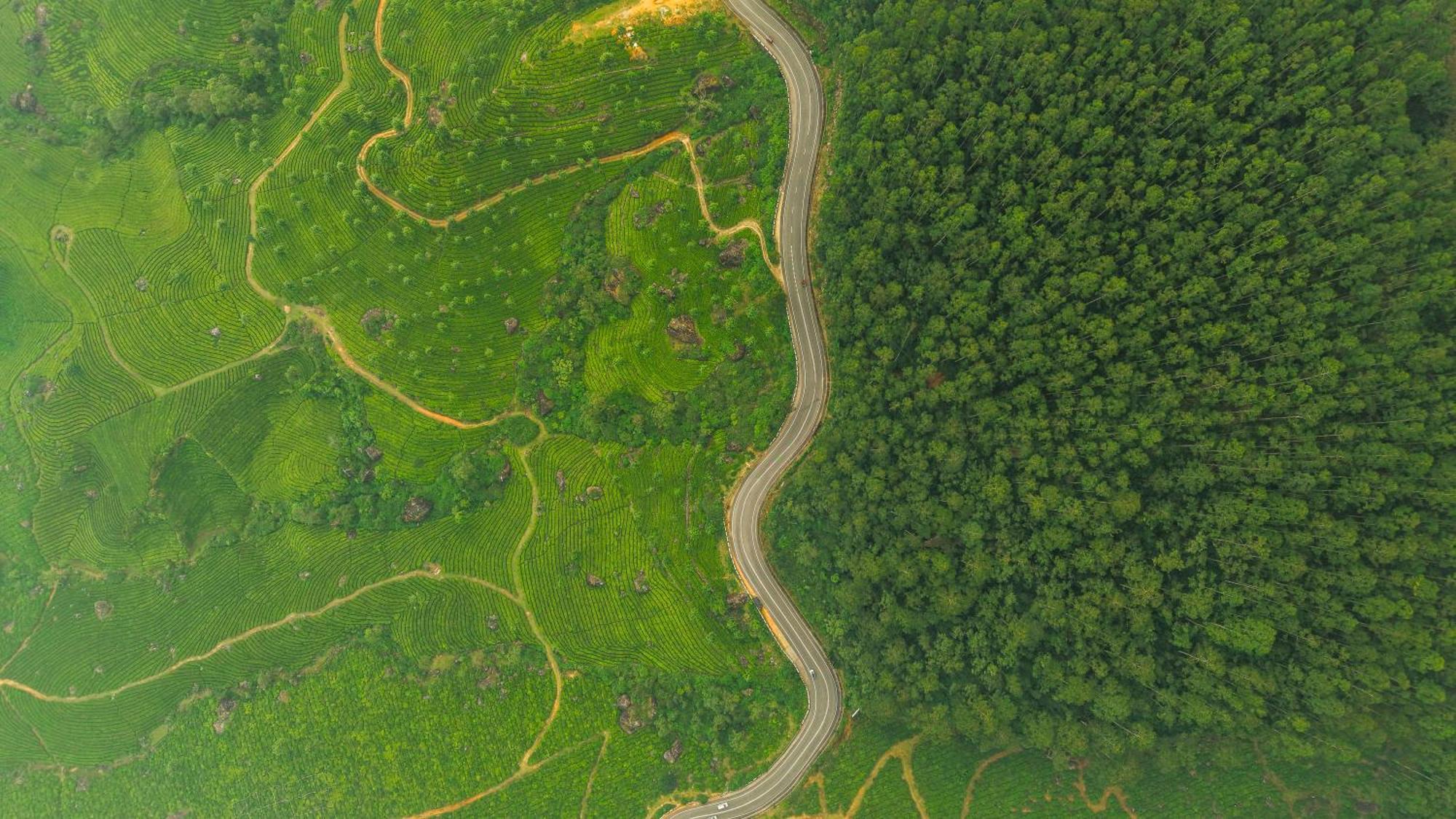 Eastend Munnar Exterior foto