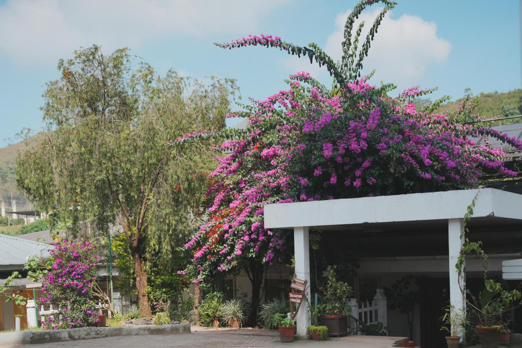 Eastend Munnar Exterior foto