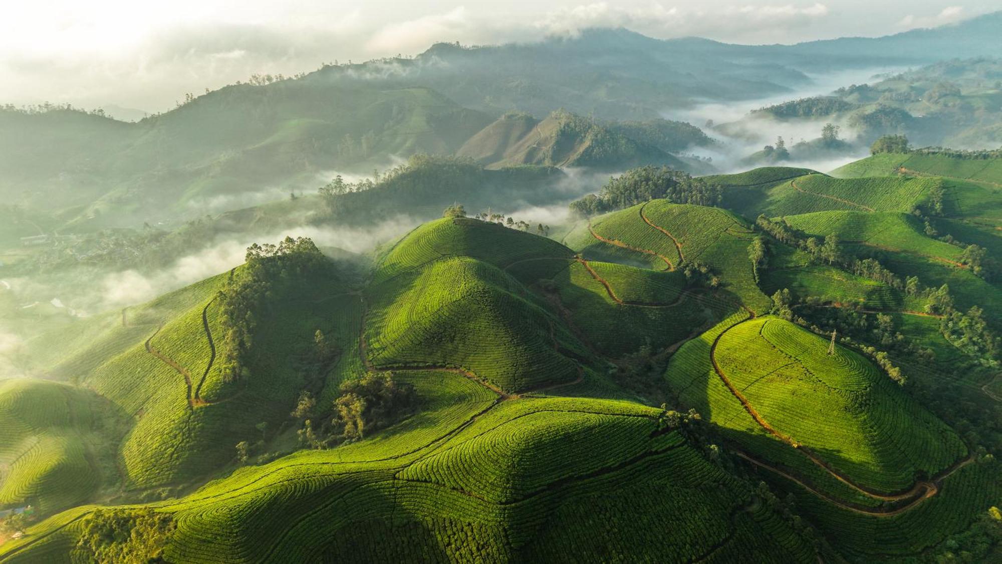 Eastend Munnar Exterior foto